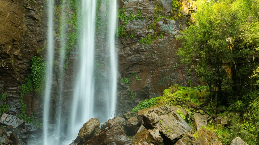 Queen Mary Falls featuring a cascade