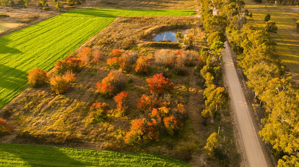 The Granite Belt which includes farmland