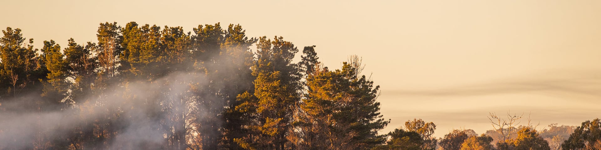 Stanthorpe, Queensland, Αυστραλία