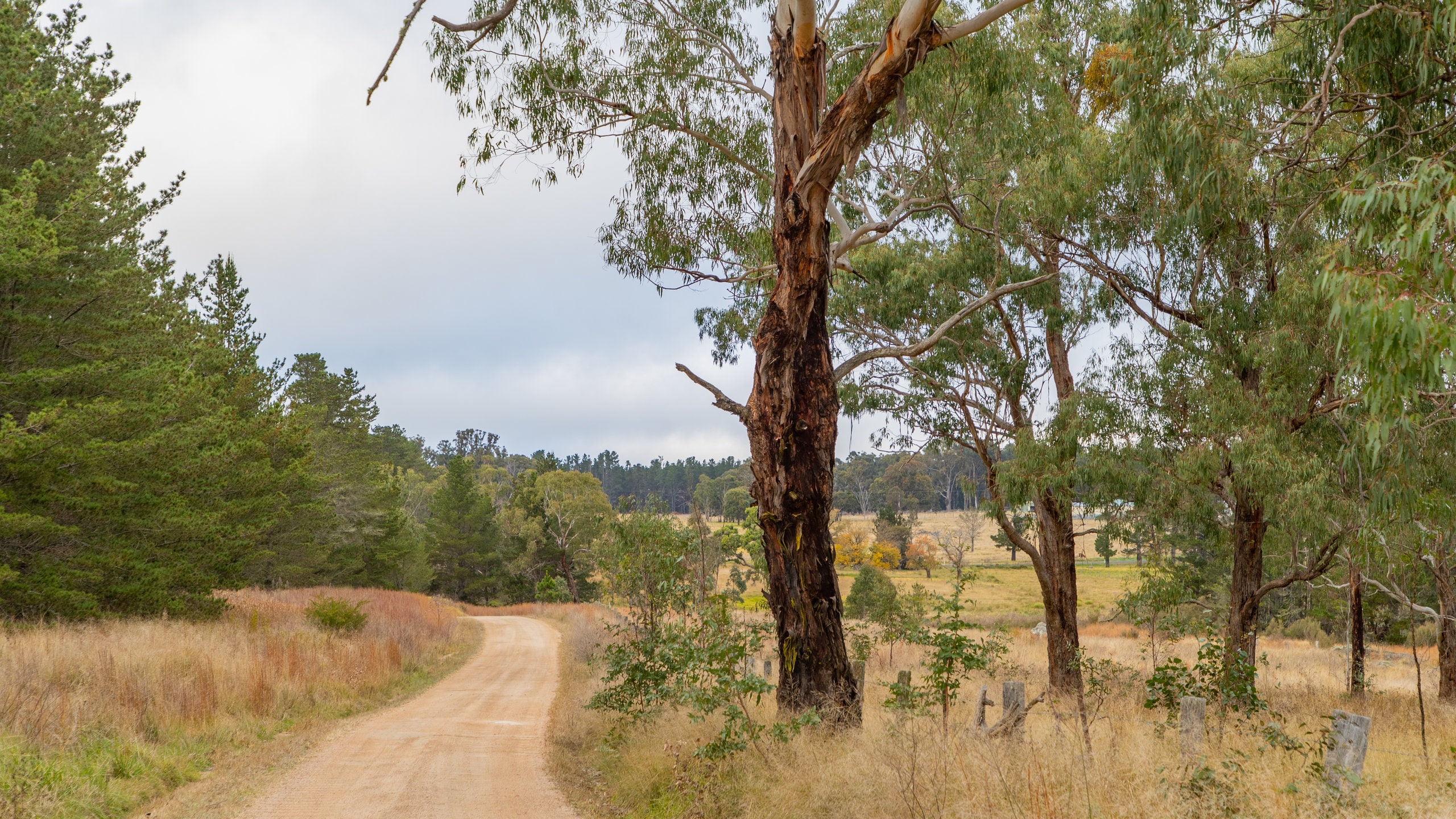 The Granite Belt, Stanthorpe holiday houses from AU 121/night Stayz