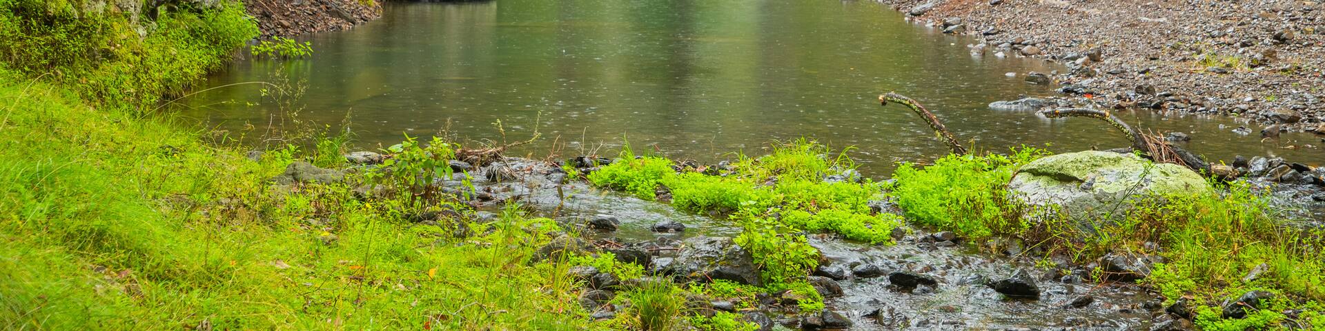 Main Range National Park featuring a river or creek and forests