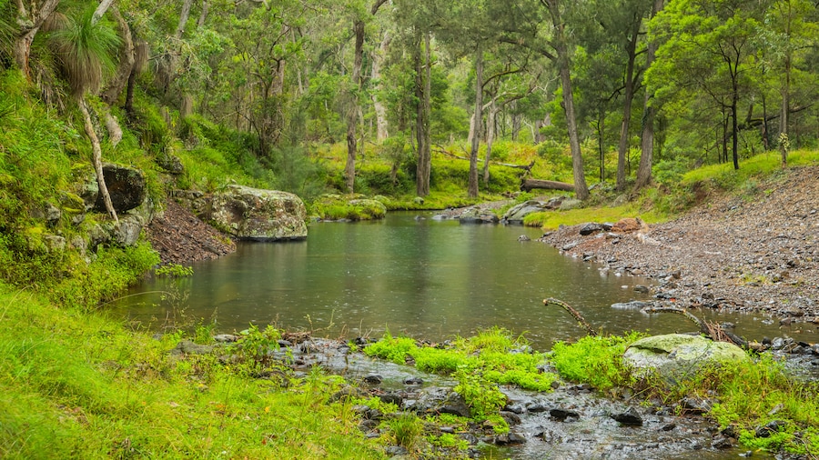 Main Range National Park featuring a river or creek and forests
