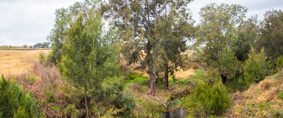 Maryvale which includes tranquil scenes