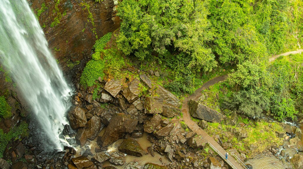 Queen Mary Falls showing a waterfall