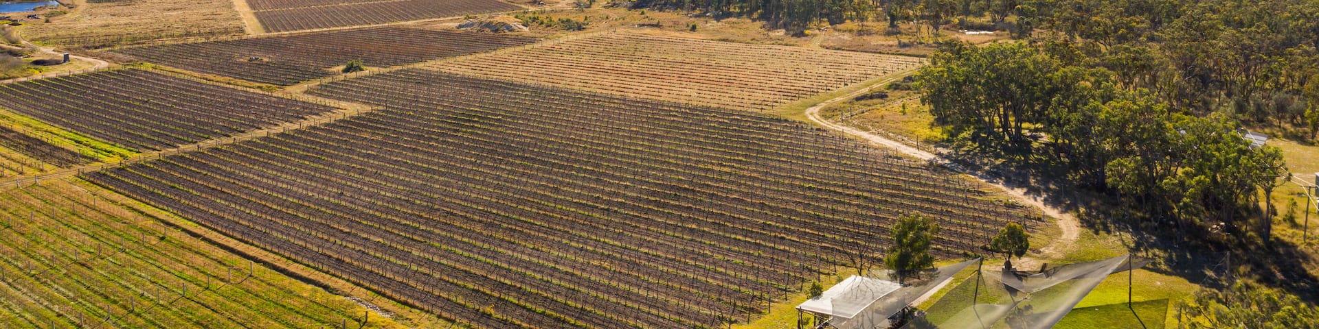 Ballandean Estate Wines which includes landscape views and farmland