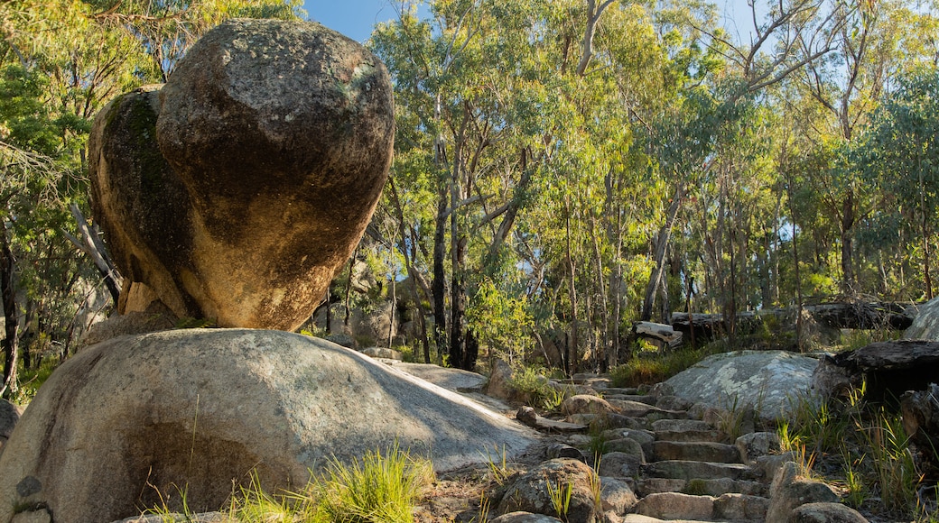 Girraween National Park