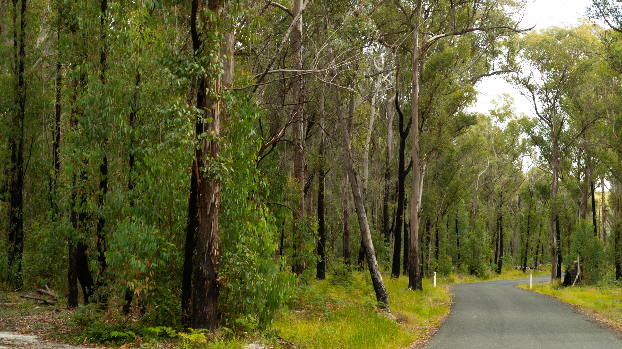 Bald Rock National Park, AU holiday holiday houses