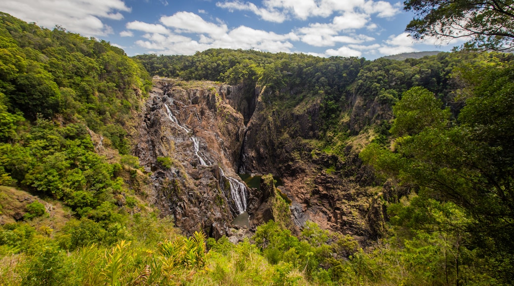 Mirador de las cascadas Barron