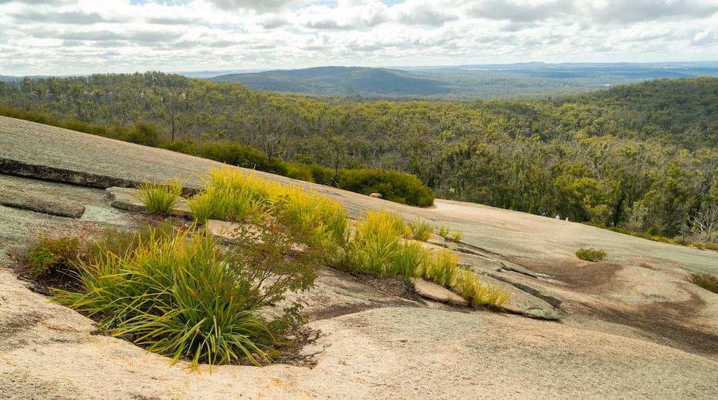 Bald Rock National Park