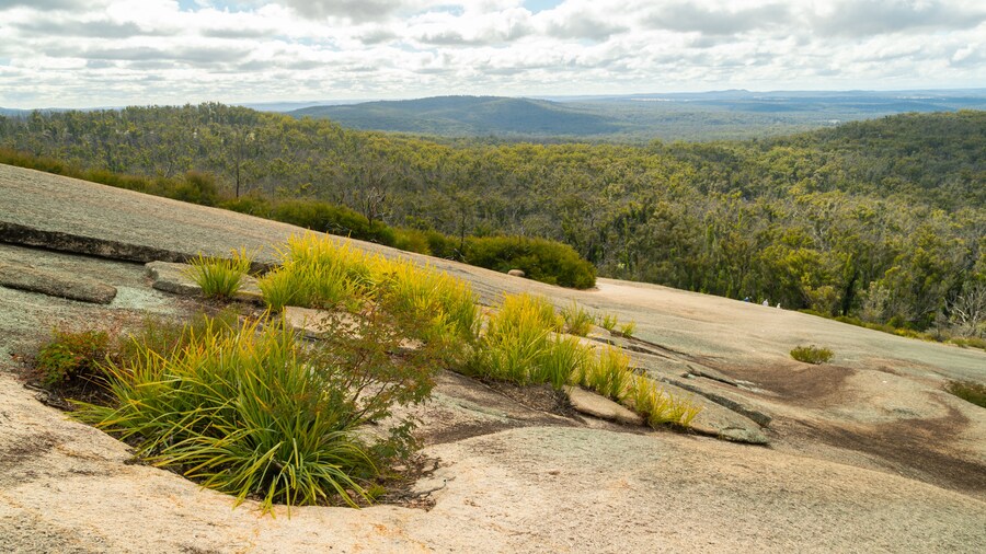 Bald Rock National Park which includes tranquil scenes and mountains