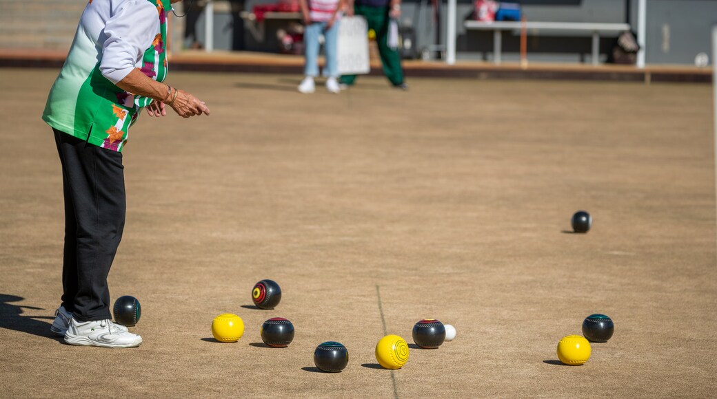 Tenterfield which includes a sporting event