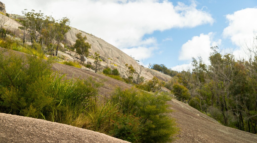 Bald Rock National Park which includes tranquil scenes