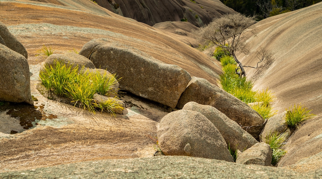 Bald Rock National Park showing tranquil scenes