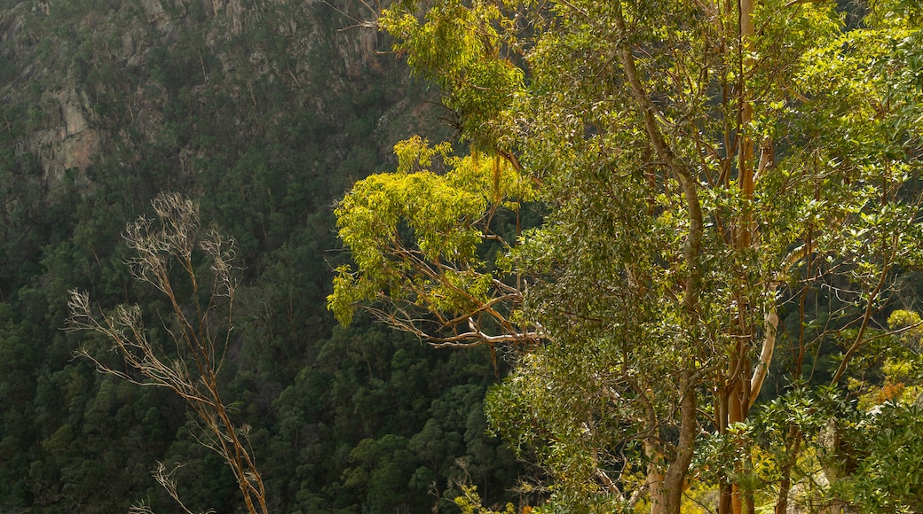 Boonoo Boonoo National Park