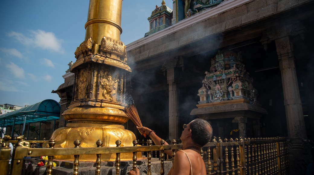 Kapaleeswarar Temple which includes a temple or place of worship and heritage elements as well as an individual femail