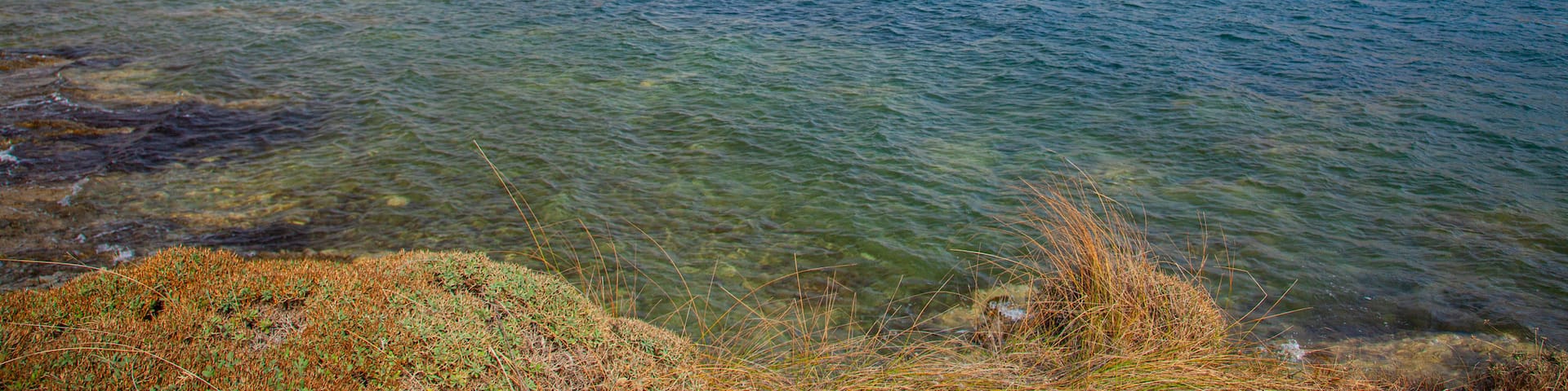 Ornos showing general coastal views and a coastal town