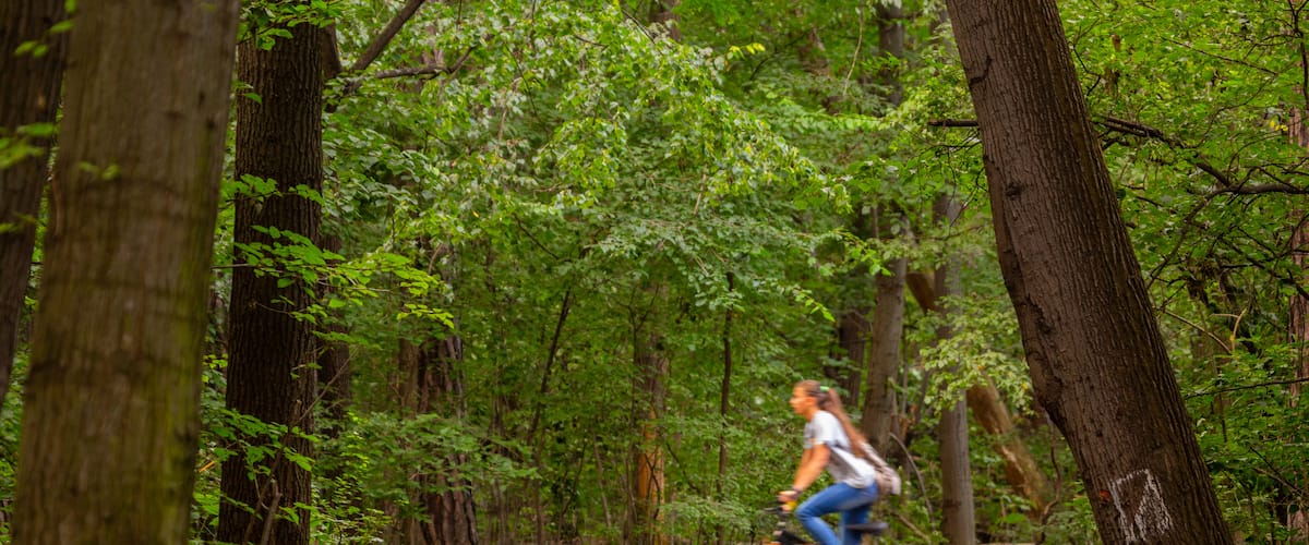 Borisova Gradina showing cycling, a garden and forests
