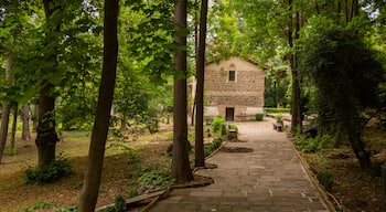 Boyana Church featuring a garden