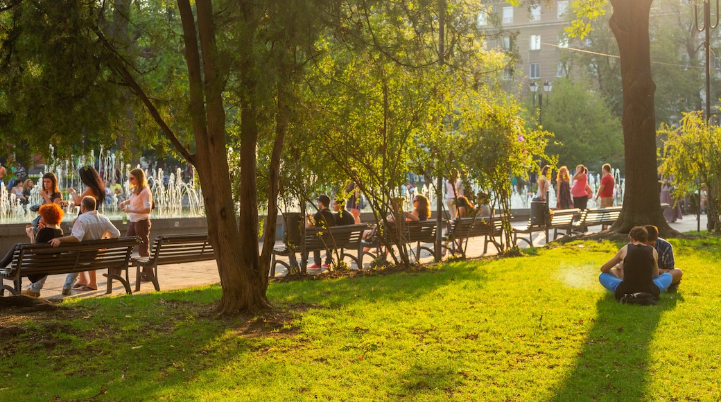 Prince Alexander of Battenberg Square showing a garden and a sunset