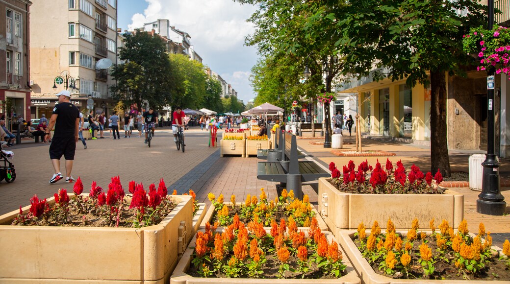 Boulevard Vitoshka