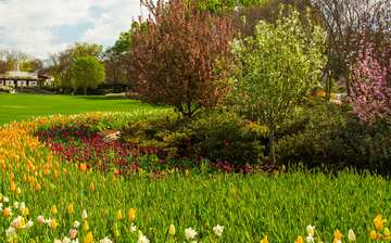 Visit Dallas Arboretum and Botanical Garden in Dallas | Expedia