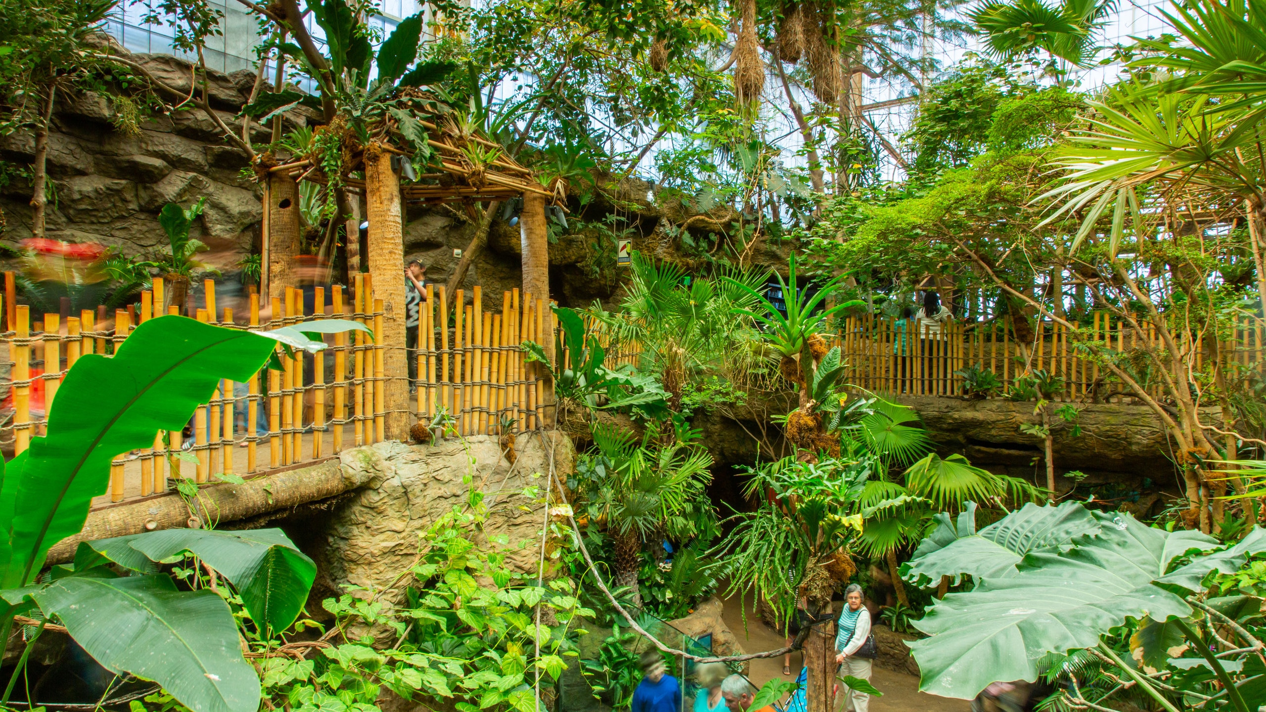 Dallas World Aquarium, Dallas Vacation Rentals: House Rentals & More 