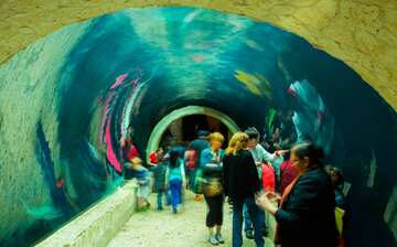 Visit Dallas World Aquarium in Downtown Dallas | Expedia