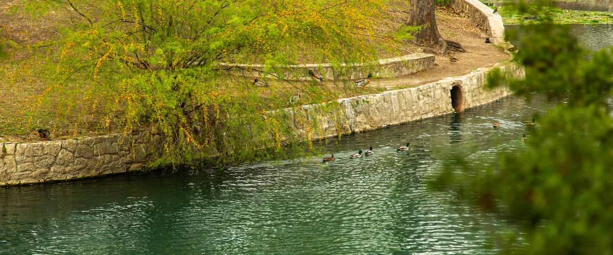 Brackenridge Park