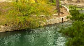 Brackenridge Park