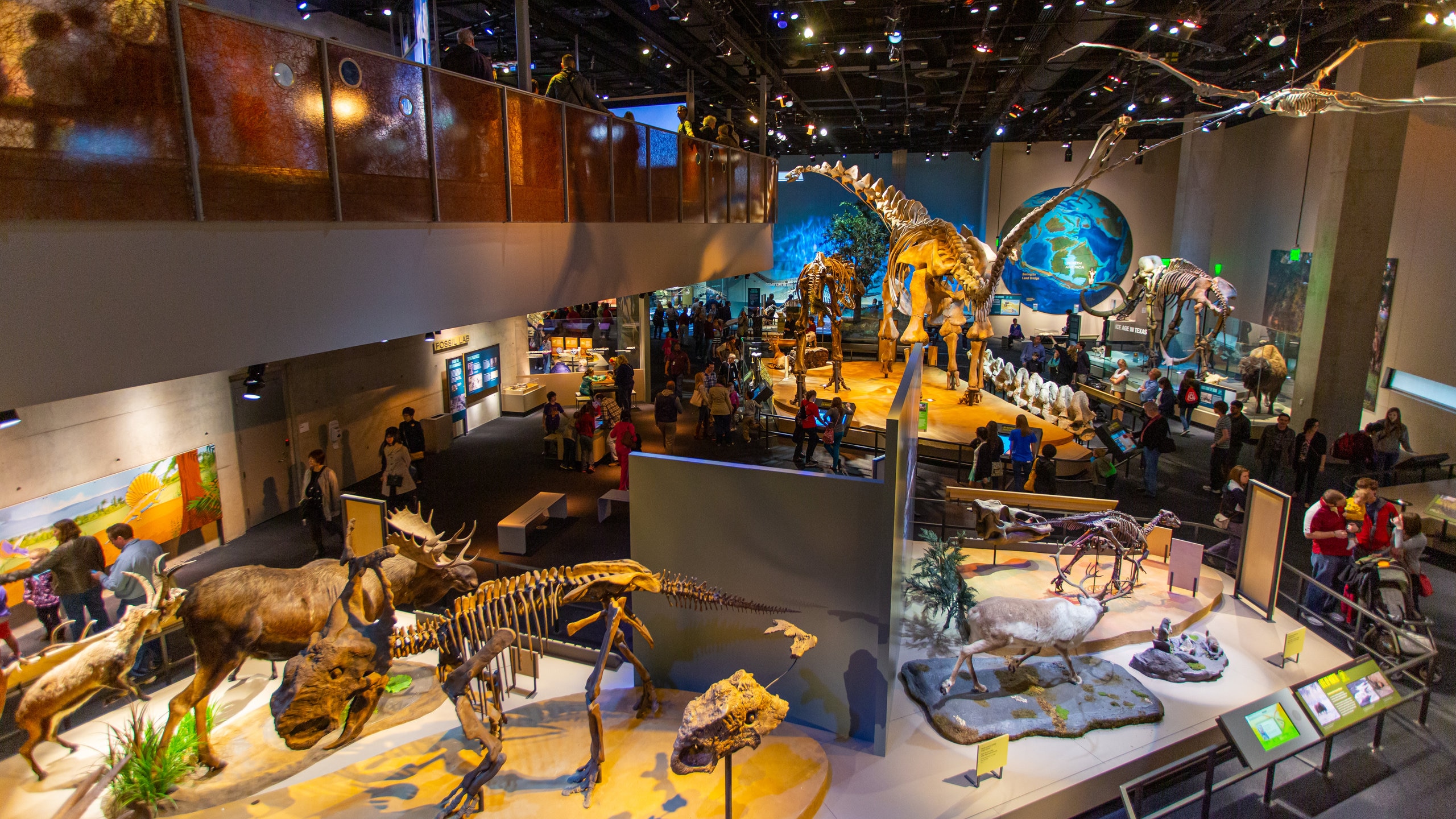 Perot Museum of Nature and Science in Uptown - Tours and Activities