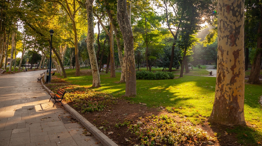 Gülhanes park