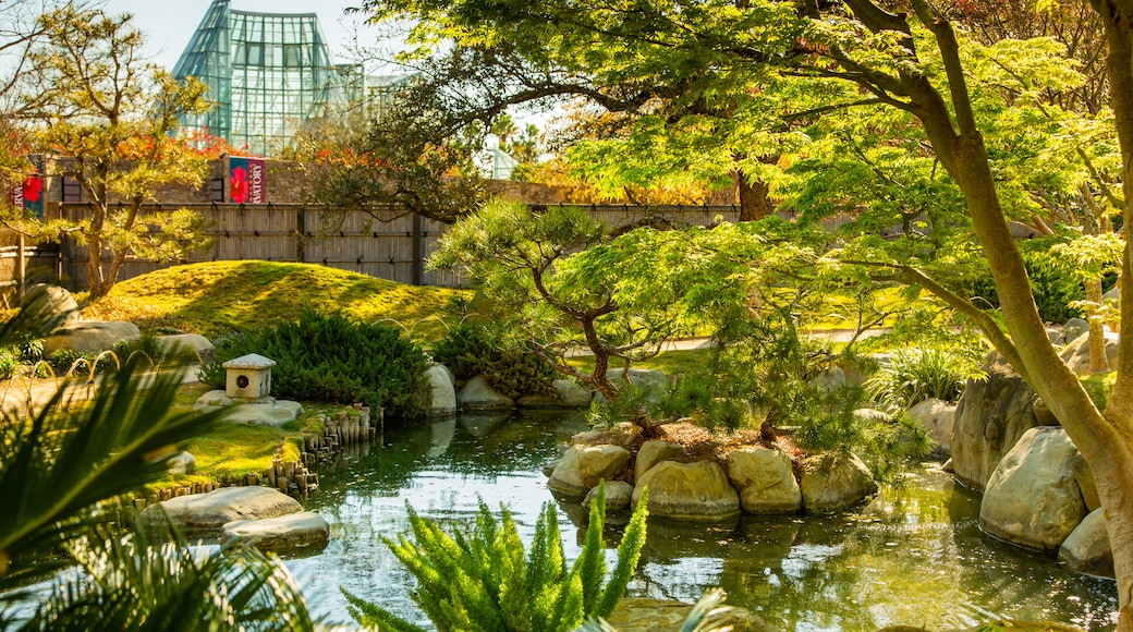 San Antonio Botanical Gardens showing a park and a pond