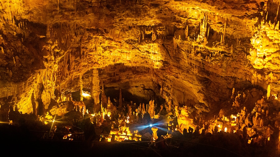 Natural Bridge Caverns near San Antonio with stunning stalactites and stalagmites.