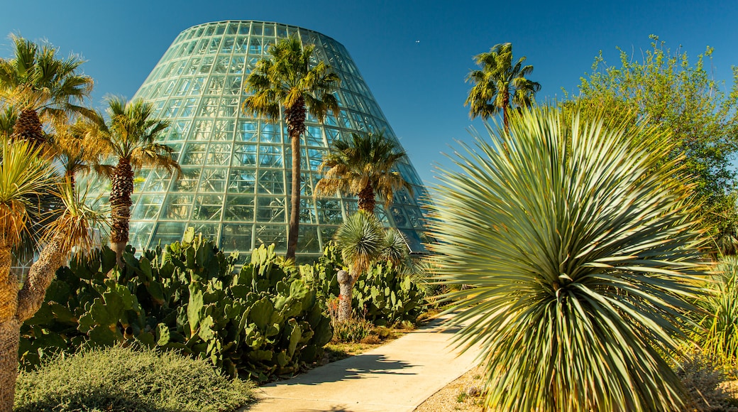 Jardín botánico de San Antonio