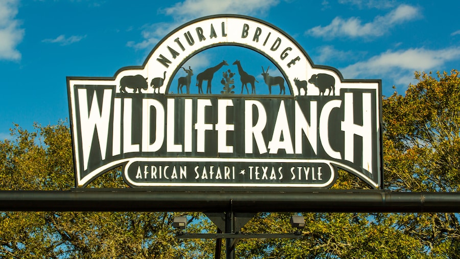 Parque de animales Natural Bridge Wildlife Ranch