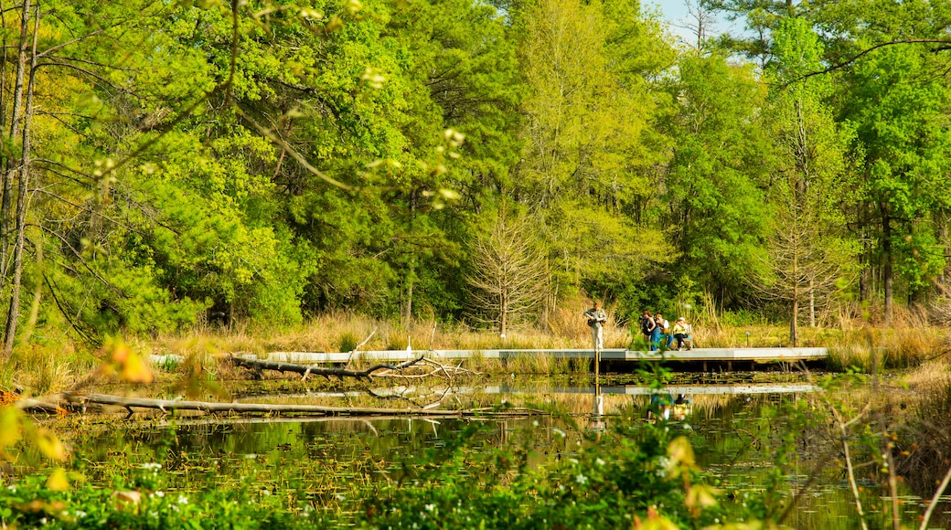 Arboretum dan Pusat Alam Semua Jadi Houston