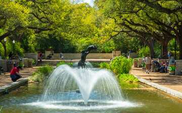 Visit Houston Zoo in Houston | Expedia