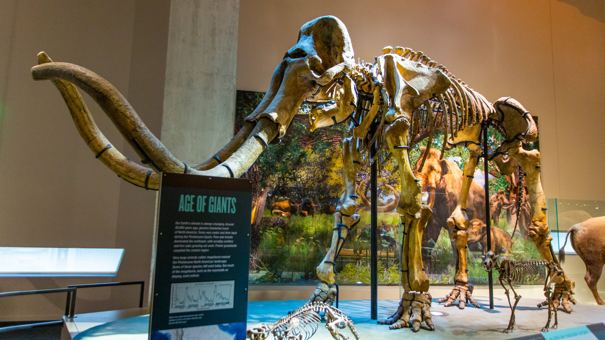 Perot Museum