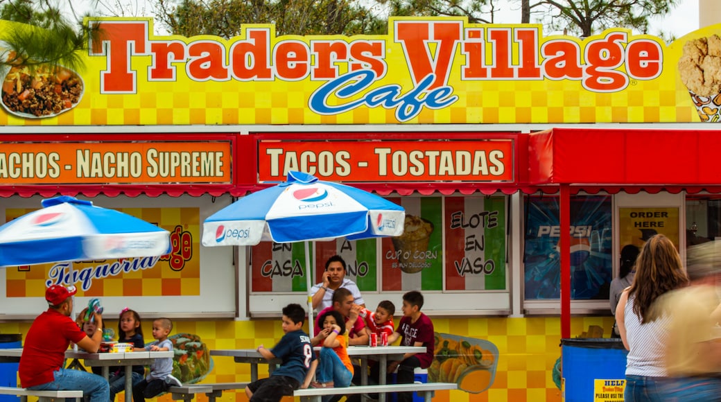 Traders Village