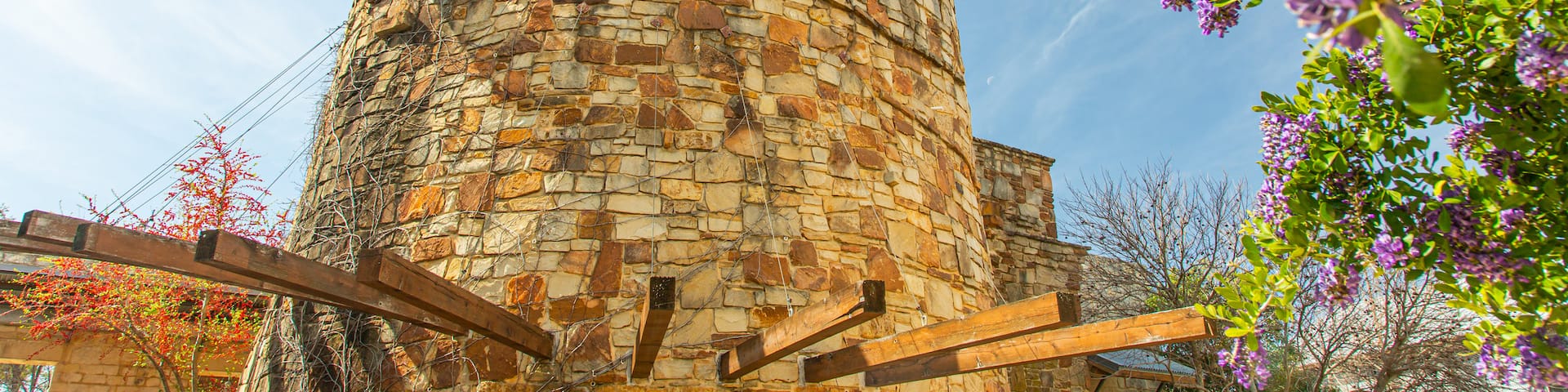 Lady Bird Johnson Wildflower Center showing wildflowers and heritage elements