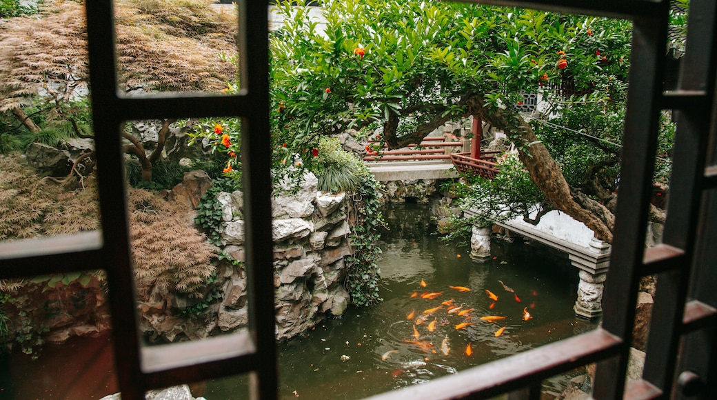 Giardino del Mandarino Yu