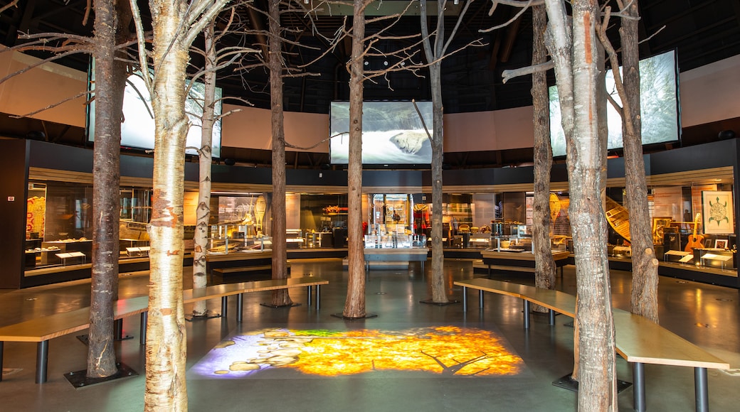 Huron-Wendat Museum showing interior views