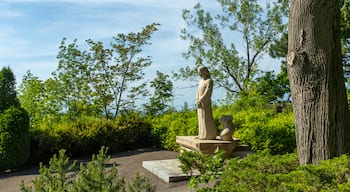 Saint Joseph\'s Oratory showing a statue or sculpture and a park