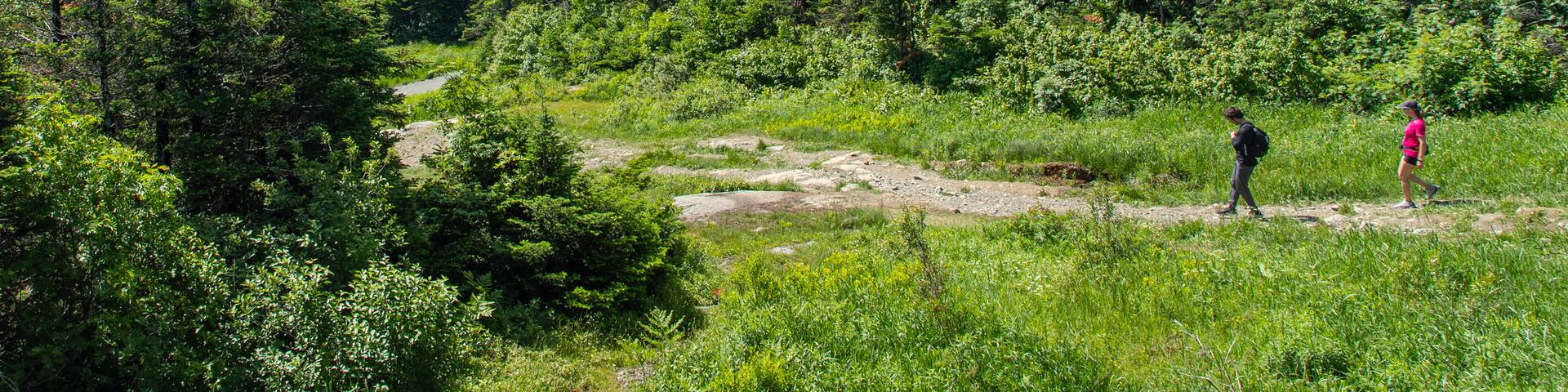 Mont Orford Ski Area featuring hiking or walking and tranquil scenes as well as a couple