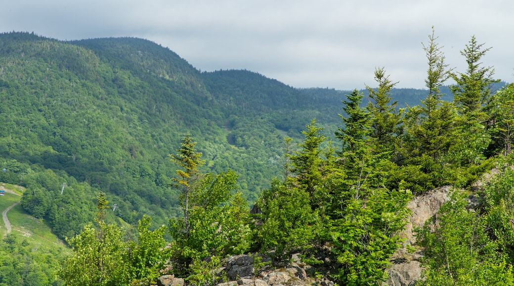Mont-Orford National Park
