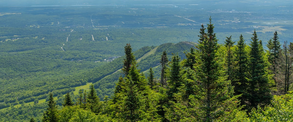 Mont Orford Ski Area showing landscape views and tranquil scenes