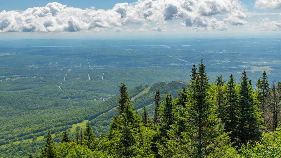 Mont Orford Ski Area showing landscape views and tranquil scenes