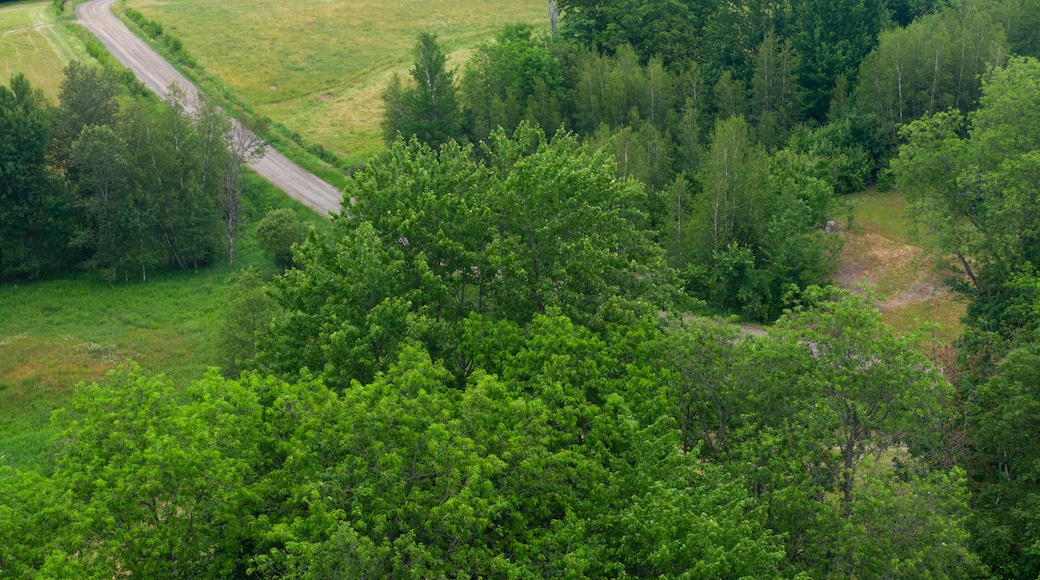 Bromont featuring tranquil scenes