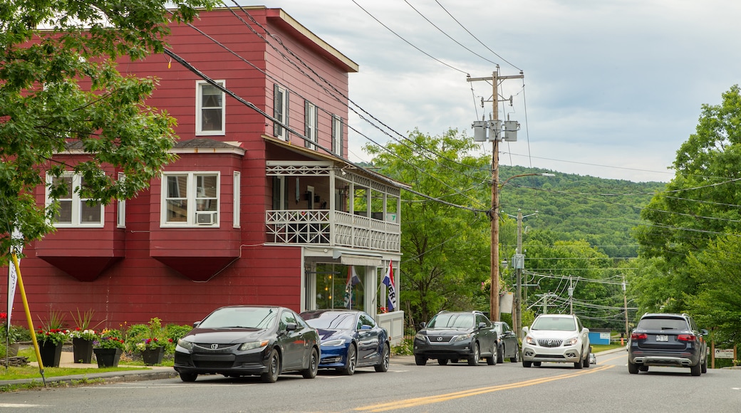 Lac-Brome which includes a small town or village