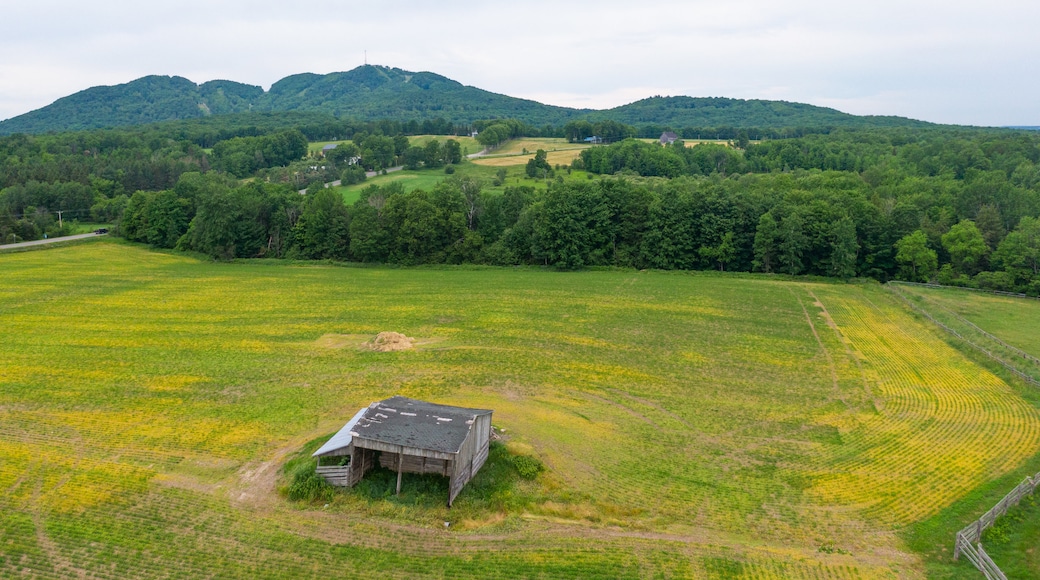 Bromont featuring farmland, landscape views and tranquil scenes